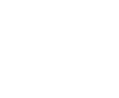 Logo dpm blanco web
